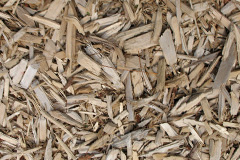 biomass boilers Redburn